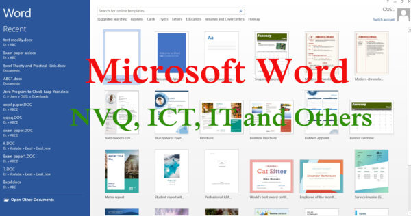 Microsoft Word (from beginner to advanced)