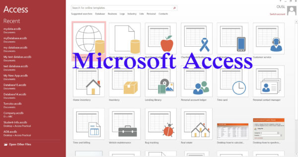 Microsoft Access (from beginner to advanced) - Image 2