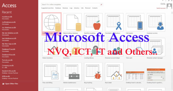 Microsoft Access (from beginner to advanced)