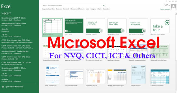 Microsoft Excel (from beginner to advanced)